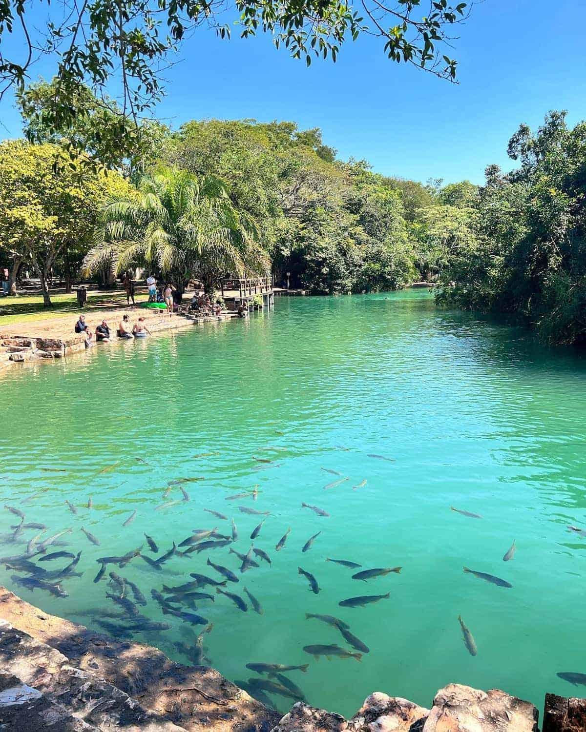 Barra Bonita Pousada Bonito  Εξωτερικό φωτογραφία